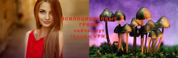 не бодяженный Абдулино